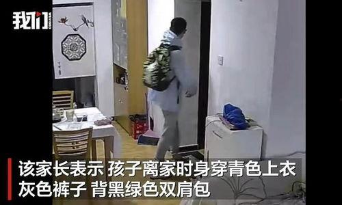 失踪男孩爆料视频,惊心动魄的爆料视频背后  第3张