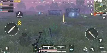 和平精英爆料最新版本,全新内容与惊喜等你探索